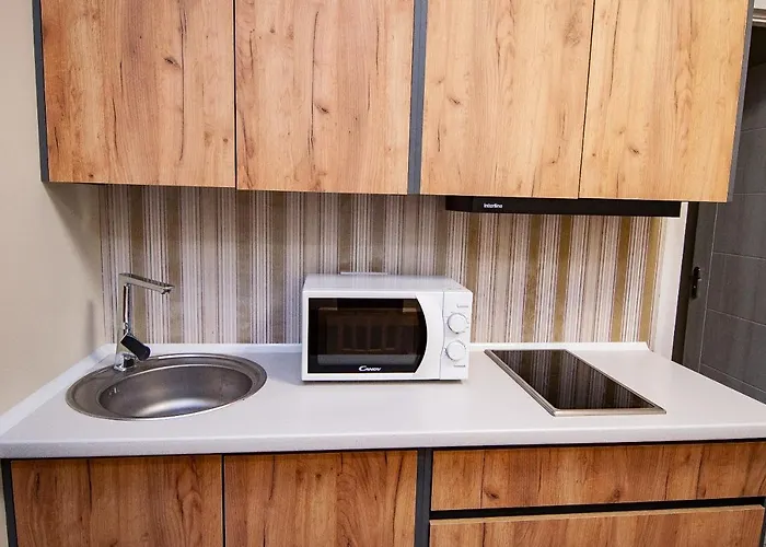 Primorskiy Διαμέρισμα *